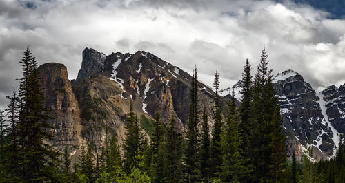 Trees and mountains against sky during winter