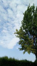 Low angle view of trees against cloudy sky