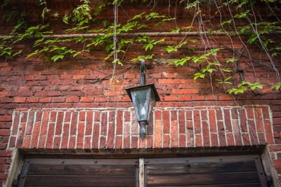 Low angle view of ivy growing on brick wall