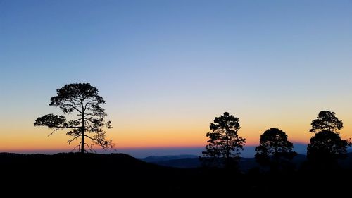 Silhouette trees against clear sky during sunset