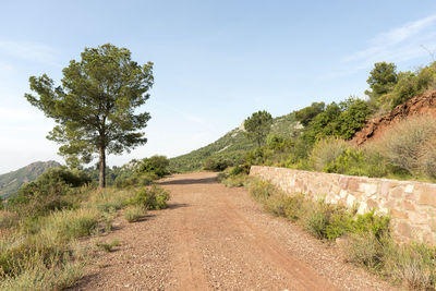 Road amidst trees against sky