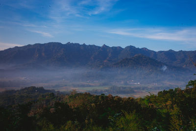 environment