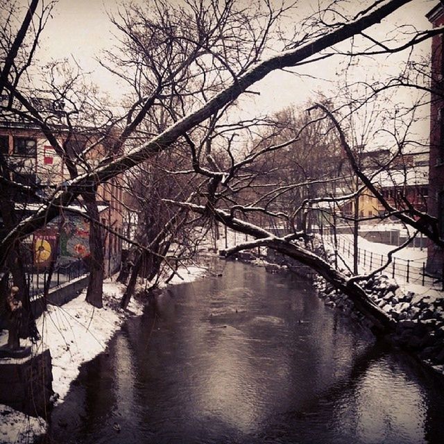 architecture, built structure, building exterior, bare tree, water, canal, tree, bridge - man made structure, reflection, connection, branch, city, building, river, waterfront, season, the way forward, residential building, railing, day