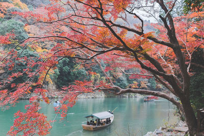 Scenic view of lake during autumn