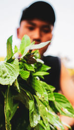 Young woman holding leaf