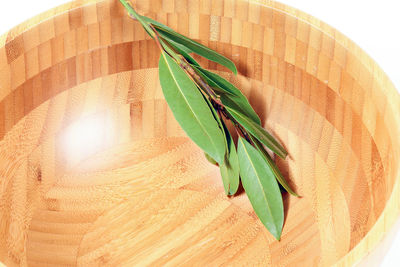 High angle view of green leaves on table