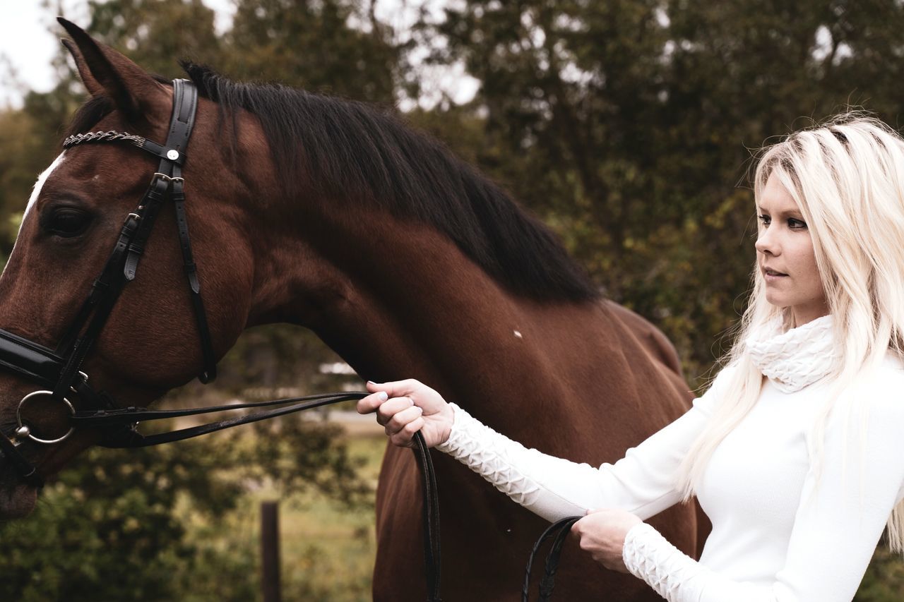 horse, animal wildlife, livestock, mammal, domestic animals, domestic, vertebrate, pets, real people, women, hair, focus on foreground, leisure activity, herbivorous, brown, blond hair, one animal, day, hairstyle, outdoors, riding