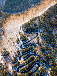 High angle view of snake on land