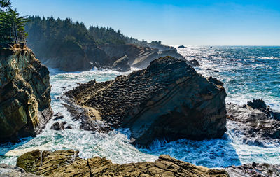 The shoreline with rock formations and crashing waves at shore acres state park in oregon state.