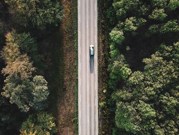 High angle view of road amidst trees in forest