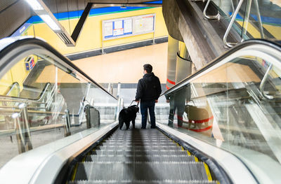 Back view full length of anonymous male suffering from blindness walking with obedient dog on moving staircase