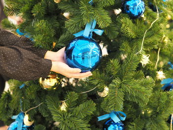 Midsection of person holding christmas tree
