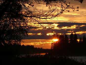 Silhouette trees against sky during sunset