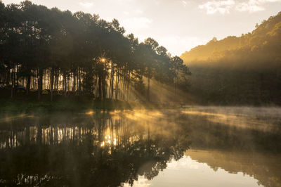 Pang oung lake with reflection of pine tree in a lake, pang oung mae hong son, north of thailand.