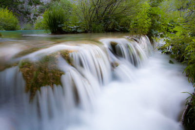 Scenic view of waterfall in forest