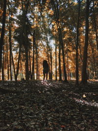 Rear view of woman standing in front of trees on field