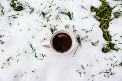 High angle view of black coffee cup on snow covered plants