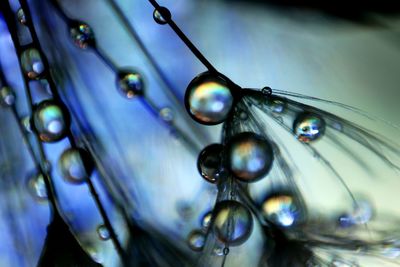 Full frame shot of wet bubbles