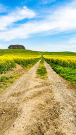 Dirt road amidst field against sky