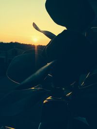 Close-up of hand against sky during sunset