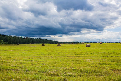 Hay bales on field against sky