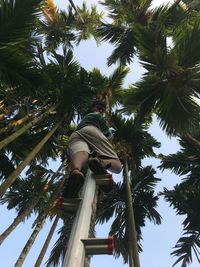Low angle view of statue against palm trees