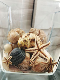High angle view of shells in container on table