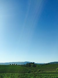 Scenic view of field against clear sky