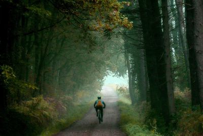 Full length rear view of man riding bicycle on dirt road in forest during foggy weather