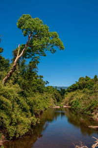 Scenic view of lake against clear blue sky