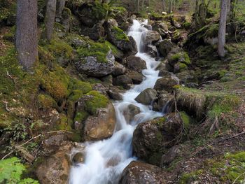 View of waterfall in forest