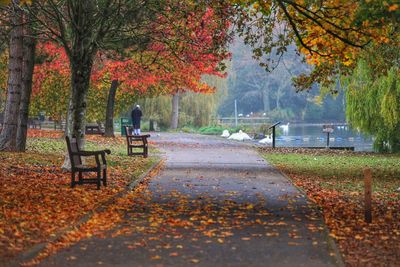Bench in park during autumn