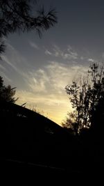 Silhouette trees against sky during sunset