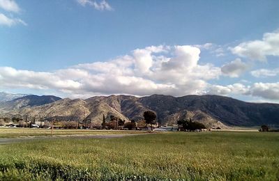 Scenic view of field against sky