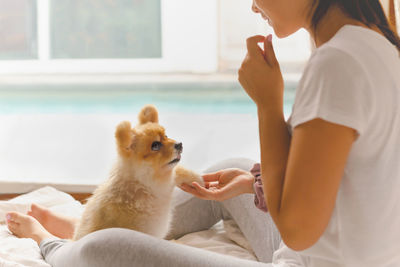 Side view young asian woman training her pomeranian dog at home indoor.