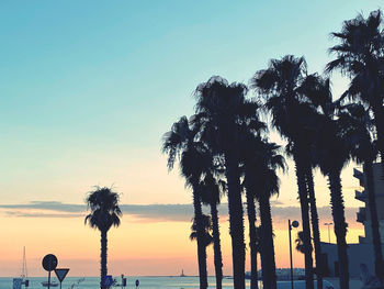 Silhouette palm trees on beach against sky during sunset