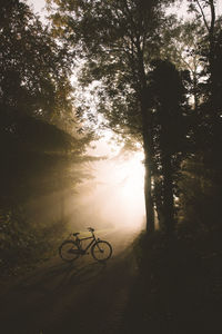 Silhouette of bicycle by tree against sky