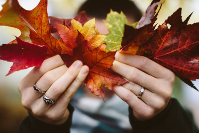 Close-up of person holding autumn leaves outdoors