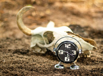 Close-up of information sign on field