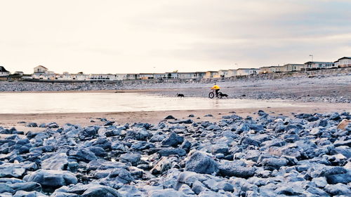 Scenic view of rocks on beach against sky