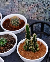 High angle view of potted plants on table