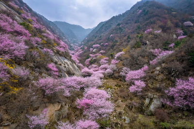 Scenic view of mountains