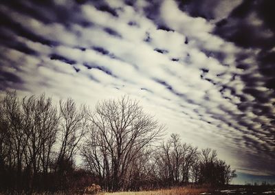 Low angle view of bare trees against cloudy sky