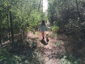 Rear view of girl walking with dog in forest