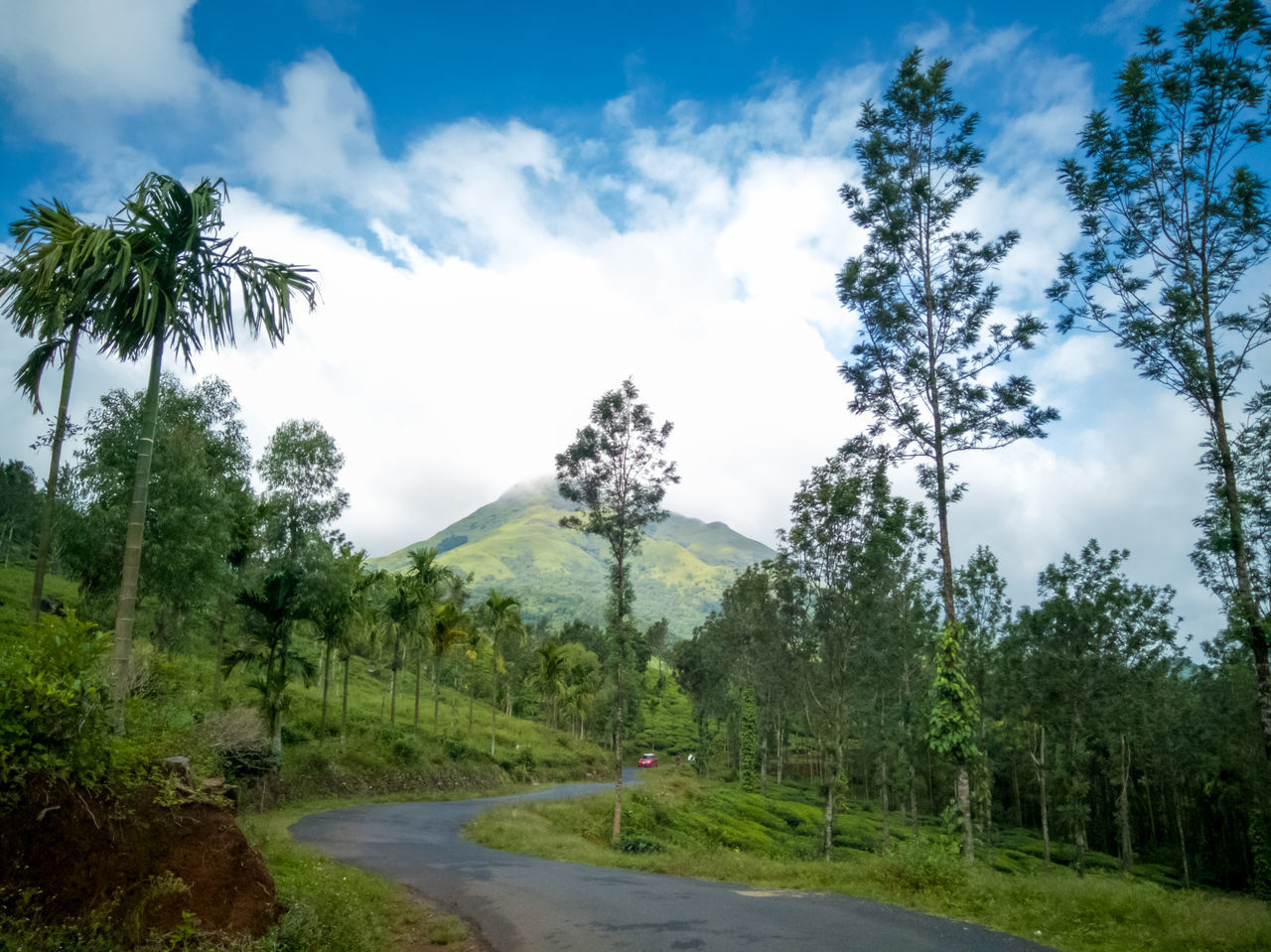 ROAD AMIDST TREES AND LANDSCAPE AGAINST SKY