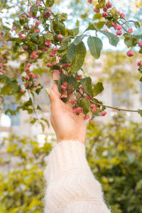 Cropped hand of woman holding flowers