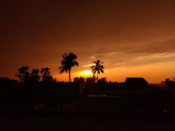 Silhouette palm trees against sky during sunset