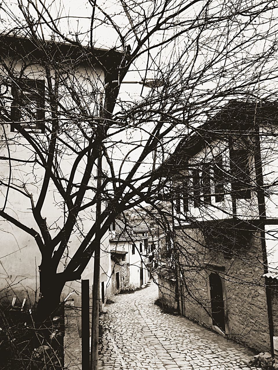 architecture, built structure, tree, building exterior, building, bare tree, plant, no people, branch, day, nature, the way forward, sky, direction, outdoors, arch, house, footpath, wall, city, stone wall