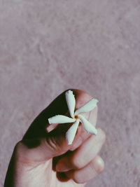 Close-up of hand holding leaf