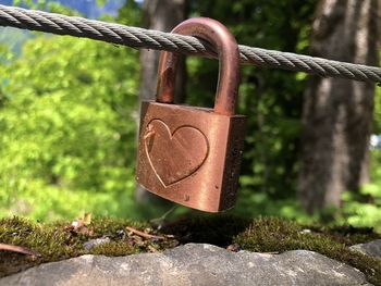 Close-up of padlocks hanging on railing